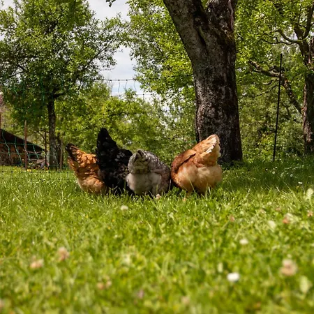 Apartment Mahar Feistritz im Rosental