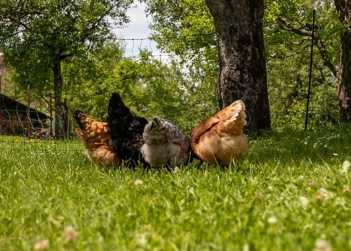 Apartman Mahar Feistritz im Rosental